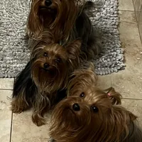 processed/0cb891cc-93c8-40c8-b434-f5565be0c6ec/facility/7b653b49-4727-465a-9009-97340df29f43