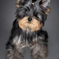 processed/0cb891cc-93c8-40c8-b434-f5565be0c6ec/facility/c888ab4a-e677-49ee-9e40-7c0b3d5bf585