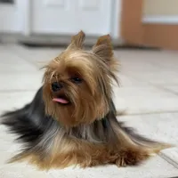 processed/0cb891cc-93c8-40c8-b434-f5565be0c6ec/facility/db47d059-85e9-40dd-93c0-d22cfdac92fa