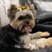 processed/0cb891cc-93c8-40c8-b434-f5565be0c6ec/facility/e62d4170-8c8b-4891-bbe8-122a59899808