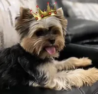 processed/0cb891cc-93c8-40c8-b434-f5565be0c6ec/facility/e62d4170-8c8b-4891-bbe8-122a59899808