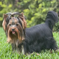 processed/0cb891cc-93c8-40c8-b434-f5565be0c6ec/facility/f20dccb5-06ac-4626-a204-d9d978f61521