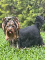 processed/0cb891cc-93c8-40c8-b434-f5565be0c6ec/facility/f20dccb5-06ac-4626-a204-d9d978f61521