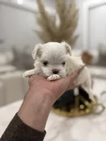 processed/0cb891cc-93c8-40c8-b434-f5565be0c6ec/listing/3e9c6268-b705-46cc-bb55-6ce5917b3936/107b1169-051e-4ad6-a5b7-b54b617f1cec