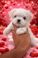 processed/0cb891cc-93c8-40c8-b434-f5565be0c6ec/listing/9fc3feca-cd84-459a-900f-151d1ebf0581/35d3d8b2-9508-4a05-88aa-c79ec6ee7201