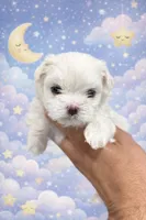 processed/0cb891cc-93c8-40c8-b434-f5565be0c6ec/listing/9fc3feca-cd84-459a-900f-151d1ebf0581/da4a2fe6-a48b-45cc-ae33-d042c9a37364