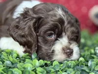 processed/0cb891cc-93c8-40c8-b434-f5565be0c6ec/listing/dec9b6af-1b08-45e8-addd-9370128e194a/92146e2d-239c-4eb2-84f8-285c621baeef