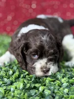 processed/0cb891cc-93c8-40c8-b434-f5565be0c6ec/listing/dec9b6af-1b08-45e8-addd-9370128e194a/a700aefe-0cdc-40d2-ad13-496463981b4b