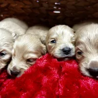 processed/0cd6d2ed-b4da-44b2-8c01-136c7518fbdf/facility/2fa55231-4914-4908-8413-6e985cae212d