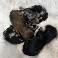 processed/0cd6d2ed-b4da-44b2-8c01-136c7518fbdf/facility/2fd8aec5-904a-4b70-b41c-2fce0588fdda