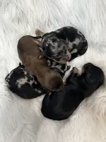 processed/0cd6d2ed-b4da-44b2-8c01-136c7518fbdf/facility/2fd8aec5-904a-4b70-b41c-2fce0588fdda