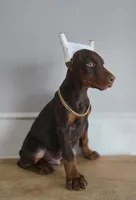 Russian Male, a male Doberman Pinscher for sale in Pensacola, FL – Photo 1 of 2