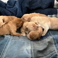 processed/0ce37f4d-859e-47b3-a5b5-e367aa2caf15/facility/75c56d70-5ccf-4811-ac70-ce8f6fb944c2