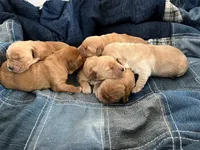 processed/0ce37f4d-859e-47b3-a5b5-e367aa2caf15/facility/75c56d70-5ccf-4811-ac70-ce8f6fb944c2