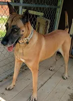 processed/0ce61a55-d3ed-4a79-b643-bcfe221d6ab4/listing/2945b4d3-8226-4b90-9cc5-56d1b5310146/2e971eca-d2e2-4bfc-befc-d54f91ae00f2