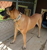 processed/0ce61a55-d3ed-4a79-b643-bcfe221d6ab4/listing/2945b4d3-8226-4b90-9cc5-56d1b5310146/529018ea-44ce-47a6-9322-81a4364b6d07