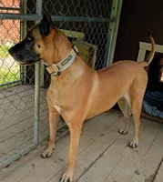 processed/0ce61a55-d3ed-4a79-b643-bcfe221d6ab4/listing/2945b4d3-8226-4b90-9cc5-56d1b5310146/86253cfd-d1f9-4484-a903-424c4750d302