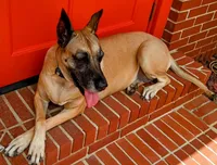 processed/0ce61a55-d3ed-4a79-b643-bcfe221d6ab4/listing/2945b4d3-8226-4b90-9cc5-56d1b5310146/9965b00f-6df8-477f-8d9c-32c0ba26bcce