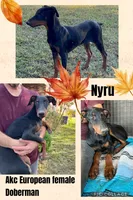 processed/0ce61a55-d3ed-4a79-b643-bcfe221d6ab4/listing/2c382d06-d5a5-415f-8cd0-a7cc4d2a4294/0127fc95-6e15-4309-9944-711d2c0b3b1c