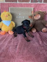 processed/0ce61a55-d3ed-4a79-b643-bcfe221d6ab4/listing/2c382d06-d5a5-415f-8cd0-a7cc4d2a4294/05d638cf-0a52-443b-8a40-325e202d1823