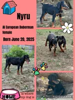 processed/0ce61a55-d3ed-4a79-b643-bcfe221d6ab4/listing/2c382d06-d5a5-415f-8cd0-a7cc4d2a4294/1dd27d1d-d44f-4e13-ac9b-713e48b47618