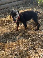 processed/0ce61a55-d3ed-4a79-b643-bcfe221d6ab4/listing/2c382d06-d5a5-415f-8cd0-a7cc4d2a4294/22fc0954-3c97-4b0f-85e9-768855c82c97