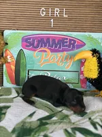 processed/0ce61a55-d3ed-4a79-b643-bcfe221d6ab4/listing/2c382d06-d5a5-415f-8cd0-a7cc4d2a4294/25d3f82d-afb5-4a52-a5e3-216d3aa67645