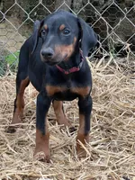 processed/0ce61a55-d3ed-4a79-b643-bcfe221d6ab4/listing/2c382d06-d5a5-415f-8cd0-a7cc4d2a4294/8c20fb98-78b2-4dc1-94be-cde12697e83e