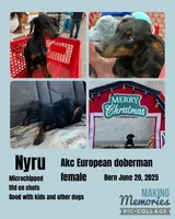 processed/0ce61a55-d3ed-4a79-b643-bcfe221d6ab4/listing/2c382d06-d5a5-415f-8cd0-a7cc4d2a4294/a0cb4aff-d386-4ea6-b85b-3c60bf59b925