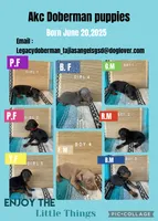 processed/0ce61a55-d3ed-4a79-b643-bcfe221d6ab4/listing/2e5f5d60-1efc-4138-9814-248ded58f4d9/09ff5a10-b48e-44c3-a861-f4a43d94a9ac