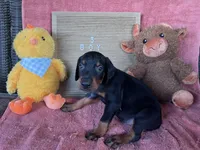 processed/0ce61a55-d3ed-4a79-b643-bcfe221d6ab4/listing/2e5f5d60-1efc-4138-9814-248ded58f4d9/10ba748d-5b8f-4c88-90a1-78d09c4ed3be