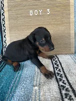 processed/0ce61a55-d3ed-4a79-b643-bcfe221d6ab4/listing/2e5f5d60-1efc-4138-9814-248ded58f4d9/3c298de1-2dae-4133-8305-98fbf88ff77c