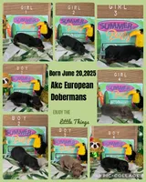 processed/0ce61a55-d3ed-4a79-b643-bcfe221d6ab4/listing/2e5f5d60-1efc-4138-9814-248ded58f4d9/53ff15f2-f4e2-4cfb-a39a-ae9916f8adf8