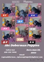 processed/0ce61a55-d3ed-4a79-b643-bcfe221d6ab4/listing/2e5f5d60-1efc-4138-9814-248ded58f4d9/8ffccbf1-007f-450e-aea1-298bbd803a42