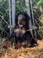 processed/0ce61a55-d3ed-4a79-b643-bcfe221d6ab4/listing/2e5f5d60-1efc-4138-9814-248ded58f4d9/e3c9106a-c10e-4eda-8a63-bffef0df66c5