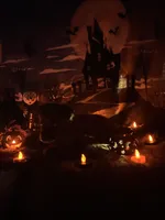 White collar, a male German Shepherd Dog for sale in Cullman, AL – Photo 2 of 4