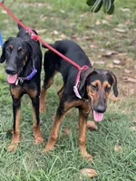 processed/0ce61a55-d3ed-4a79-b643-bcfe221d6ab4/listing/96366d93-a0dc-4c30-ad28-5d4a5b1b6b87/1f35a0c2-a05c-4bf5-826e-e9d3cab56753