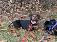 processed/0ce61a55-d3ed-4a79-b643-bcfe221d6ab4/listing/96366d93-a0dc-4c30-ad28-5d4a5b1b6b87/4855f58d-d0a8-41a3-93ca-c3f8ef32c09c