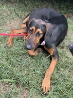 processed/0ce61a55-d3ed-4a79-b643-bcfe221d6ab4/listing/96366d93-a0dc-4c30-ad28-5d4a5b1b6b87/5b04313a-1e47-4e20-88a8-51f579fea518