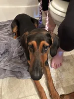 processed/0ce61a55-d3ed-4a79-b643-bcfe221d6ab4/listing/96366d93-a0dc-4c30-ad28-5d4a5b1b6b87/65d5058f-5e55-4485-80d5-350c7b21d00e