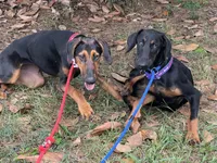 processed/0ce61a55-d3ed-4a79-b643-bcfe221d6ab4/listing/96366d93-a0dc-4c30-ad28-5d4a5b1b6b87/eee69c32-3898-4250-a227-88ccd6f05839