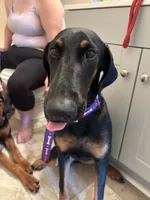 processed/0ce61a55-d3ed-4a79-b643-bcfe221d6ab4/listing/9ab3b9c6-efcc-41d9-b5d7-fd53269a4f00/876abe8c-70b5-4759-8890-f1da53fe4659