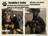 processed/0ce61a55-d3ed-4a79-b643-bcfe221d6ab4/listing/9ab3b9c6-efcc-41d9-b5d7-fd53269a4f00/9bb41d5c-224a-4563-86aa-1af4f679eab7