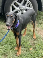 processed/0ce61a55-d3ed-4a79-b643-bcfe221d6ab4/listing/9ab3b9c6-efcc-41d9-b5d7-fd53269a4f00/a5e4a550-9064-4000-8cd1-9211d5ee5fbe