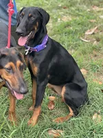 processed/0ce61a55-d3ed-4a79-b643-bcfe221d6ab4/listing/9ab3b9c6-efcc-41d9-b5d7-fd53269a4f00/bf0904f8-1ba4-40e6-88ed-6da7df98b1d2