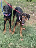 processed/0ce61a55-d3ed-4a79-b643-bcfe221d6ab4/listing/9ab3b9c6-efcc-41d9-b5d7-fd53269a4f00/dc1a8d7d-3d43-4d83-9dc3-770d8d9f4b59