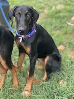 processed/0ce61a55-d3ed-4a79-b643-bcfe221d6ab4/listing/9ab3b9c6-efcc-41d9-b5d7-fd53269a4f00/e70a11ff-2939-45fb-babf-143195863d80