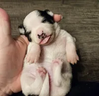 processed/0ce76f17-7592-4d65-b883-00f63944bb87/listing/c1508d8f-64f4-4350-956a-2ef8fb30ce8d/2024731f-e494-4149-adf9-5617240dfd61