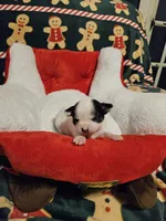 processed/0ce76f17-7592-4d65-b883-00f63944bb87/listing/c1508d8f-64f4-4350-956a-2ef8fb30ce8d/4cc44e54-c8f5-4300-a091-7e84f48f7926