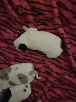 processed/0ce76f17-7592-4d65-b883-00f63944bb87/listing/c1508d8f-64f4-4350-956a-2ef8fb30ce8d/f7a611ca-2660-48d4-a479-36e7be5dacf4